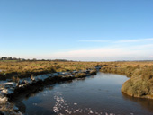 Vue sur les marais depuis le pont d'Arm