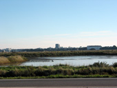 Vue sur des marais salants prs de Saill au Sud de Gurande