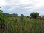 Vue sur la campagne prs des marais de Gulan