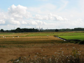 Vue sur les marais du Sud