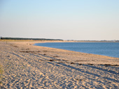 Vue sur la plage des Brebis vers la pointe dunaire boise de Penbron