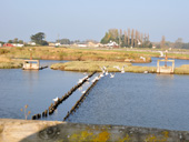 Vue sur el Port du Collet depuis la D118