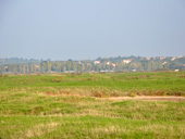 Vue sur les marais des Moutiers et le coteau urbanis  l'horizon