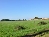 Vue sur la frange littorale depuis la Basse