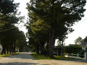 Vue sur une rue plante de Tharon