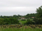 Vue sur le val d'Acheneau depuis le coteau viticole du Petit Château