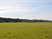 Vue sur les pturages et le coteau bois du sud Loire prs de Beauvoir