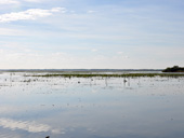 vue sur le Lac de Grandlieu depuis Pierre Aigu