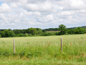 Vue sur plateau bocager au sud de Saint Viaud