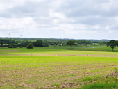 Vue sur les marais du boivre depuis la Giraudire