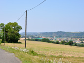 Vue sur le polder horticole de la Divatte depuis le coteau viticole