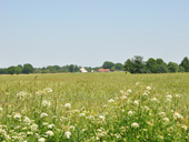 Vue sur Le bocage autour de l'Aubinire