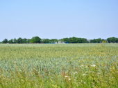 Vue sur les arrires de la zone d'activits de la Guillauderie