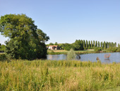 Vue sur le port de Louen