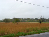 Vue sur les marais de Port Launay