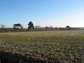 Vue sur le plateau bocager prs de Le Bourge