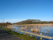 Vue sur les marais de Pompas