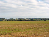 Vue sur la crte boise au nord de Bellign