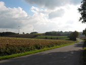 Vue sur les oliennes de Derval