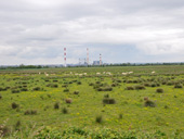 Vue sur les prairies d'estuaire au Migron