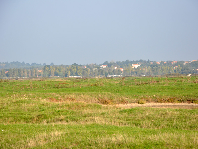 Localisation du point de vue