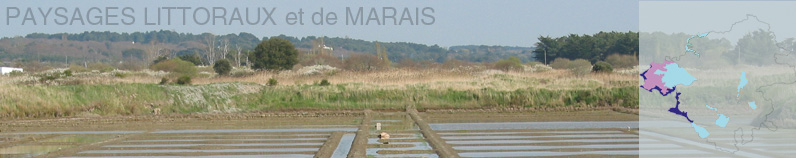 Les Paysages Littoraux et de Marais