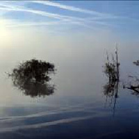 Marais de lErdre