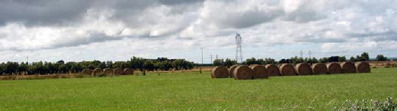 Prairies de la Brire