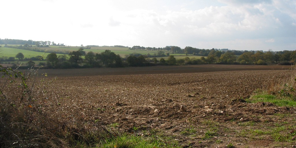 Vue sur le plateau bocager ondul semi ouvert des environs de Derval