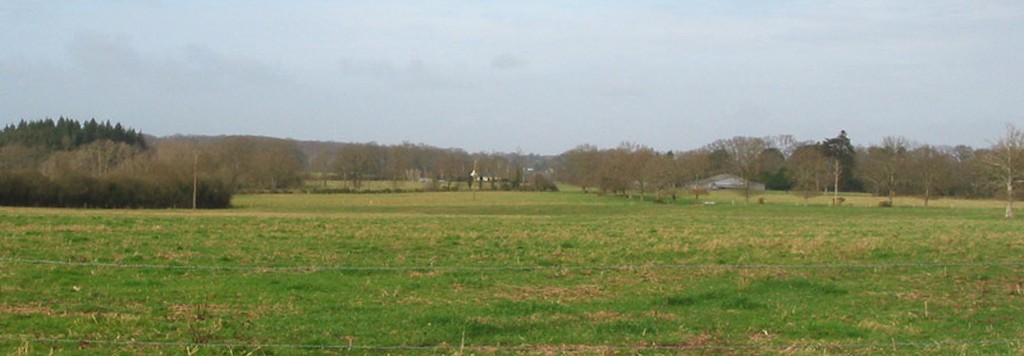 Un paysage limit par l'horizon bois de la fort du Gvre