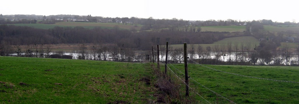 Prairies inondes du val d'Isac