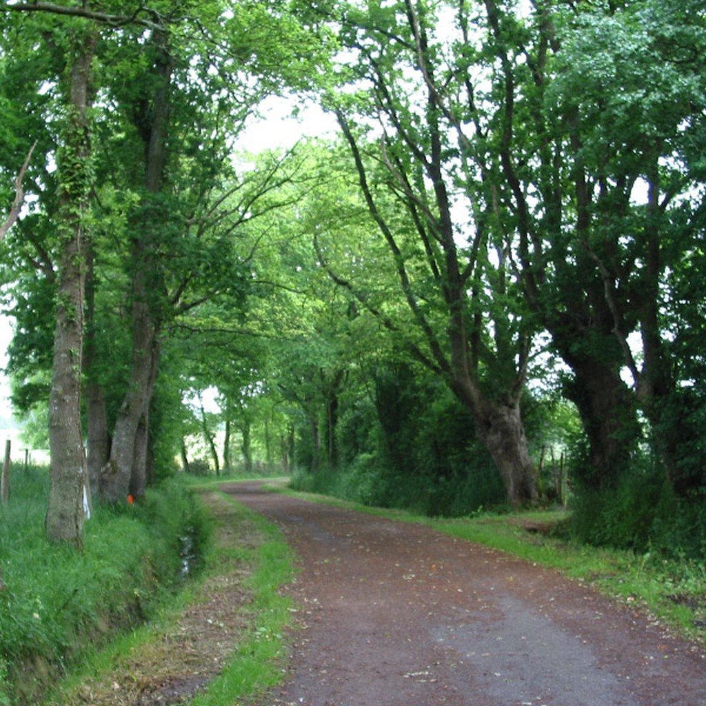 Ambiance de chemin creux caractristique