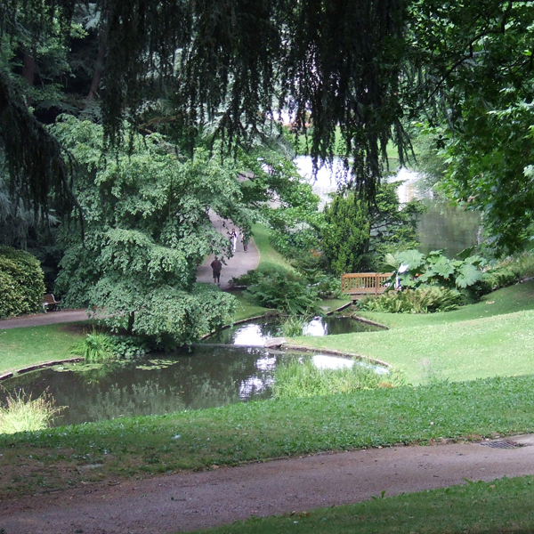 Ambiance vgtale du parc de La Gaudinire