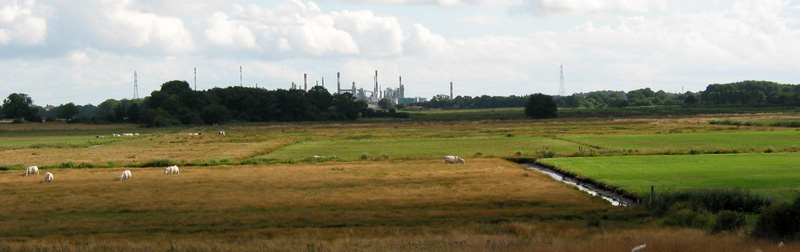 Vue sur les terres basses des marais de Donges avec la raffinerie comme horizon