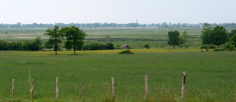 vue sur le marais priv ponctu de la silhouette dun bourg insulaire