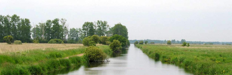 Prairies desservies par le Canal de Caloyau