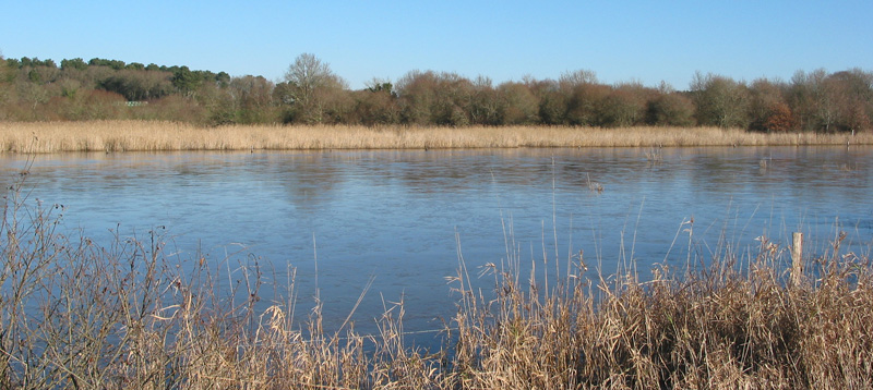 Ambiance hivernale sur les marais du Ms