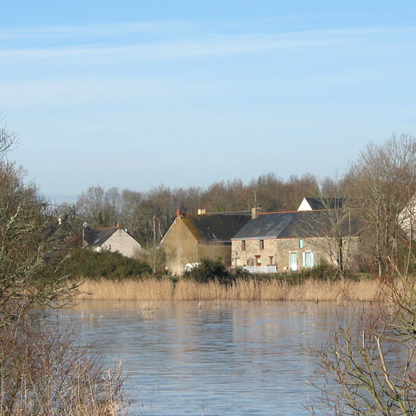 Hameau en bord des marais du Ms