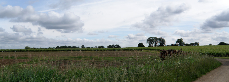 Coteau doux bocager viticole qui marque lhorizon sud et ouest du lac