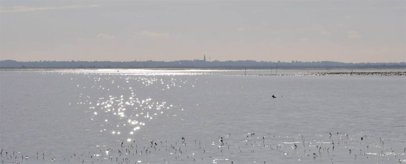 Le Lac de Granlieu des ambiances lacustres uniques dans le dpartement