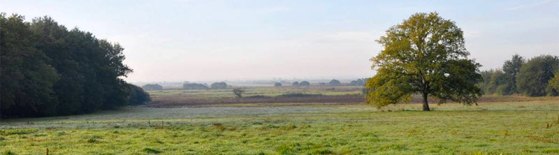 Vue sur les plaines de Mazerolles