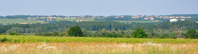 Un paysage qui tend  se refermer