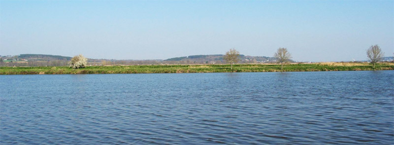 Un paysage de marais ouvert avec des coteaux boiss urbaniss pour horizon