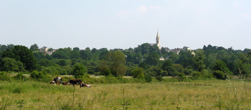 Les bourgs perchs sur le coteau, des repres paysagers forts dans le marais