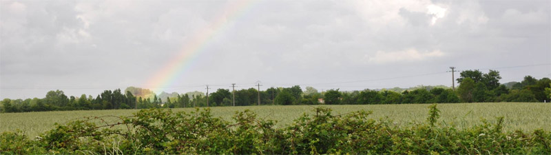 Un paysage bocager semi ouvert sur un relief quasi plan