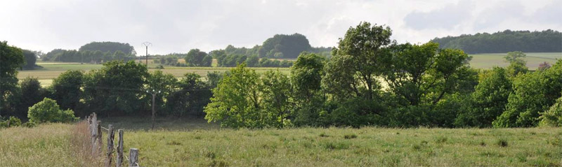 Un paysage de crtes boises dominant des valles