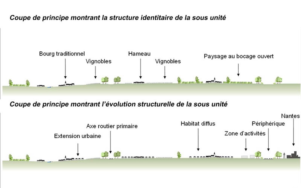 Coupes de principe de structuration du paysage et de son volution