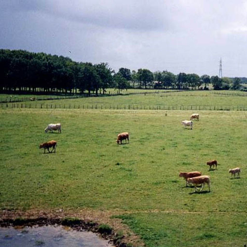 Un paysage agricole semi-ouvert