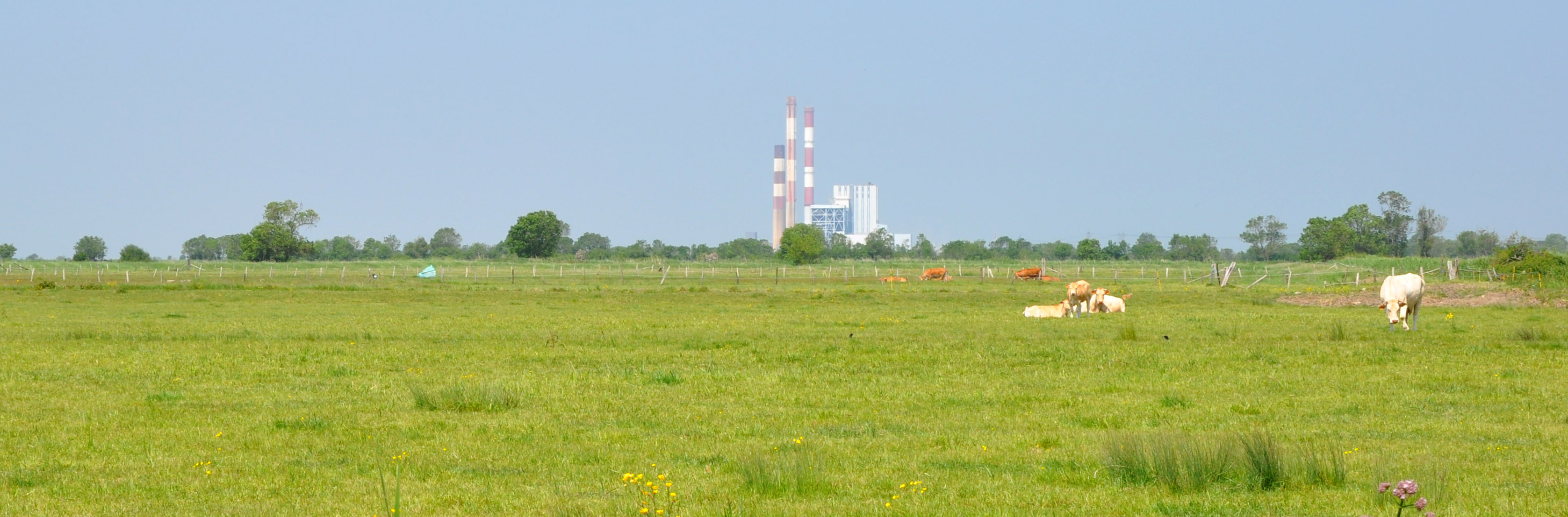 Repre industriel de la centrale de Cordemais au cur des marais