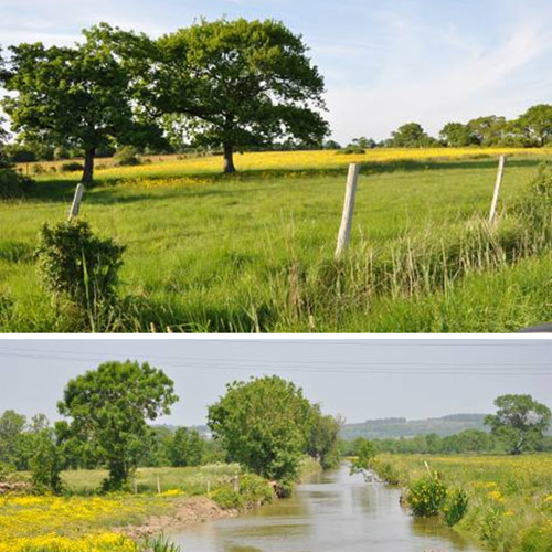 Alternance de paysages de bocage et de marais